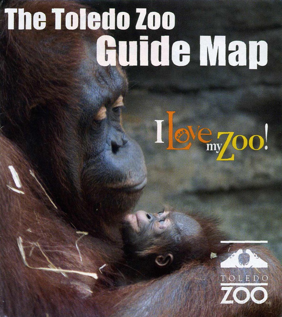 Dart Frog Dash 08 0821.jpg - Awwww.... ain't that cute.